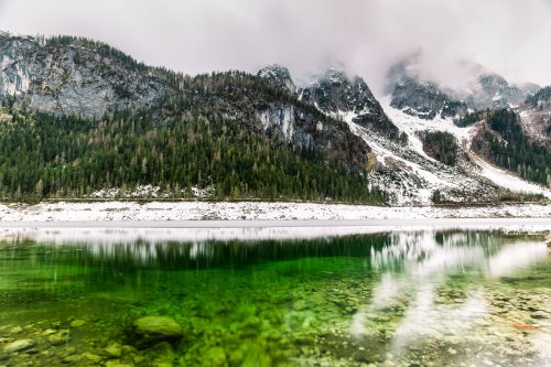 Gosausee fenyves